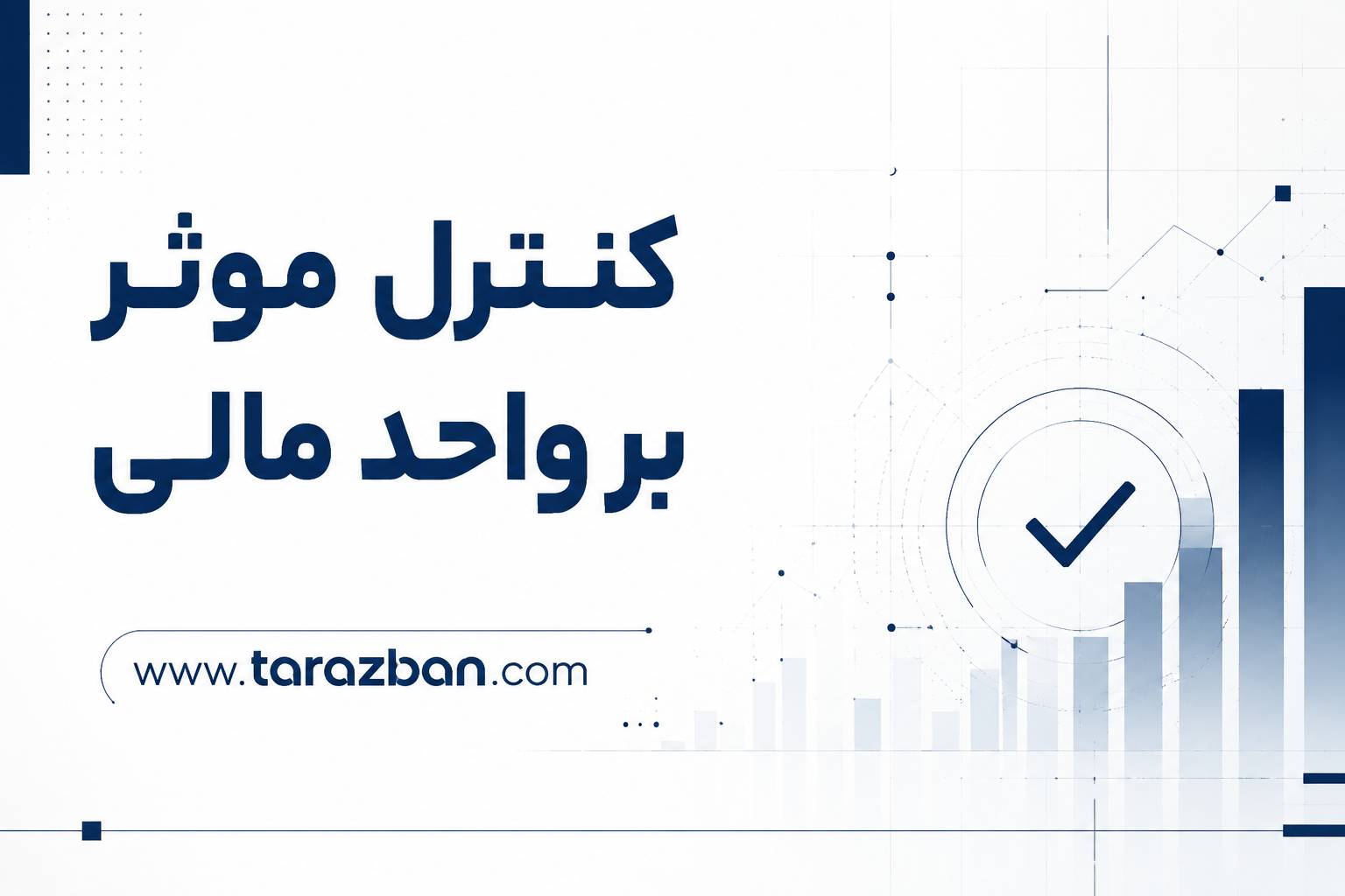 کنترل مؤثر بر واحد مالی